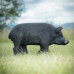 Wildcrete Feral Pig